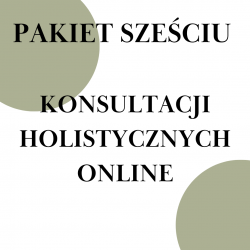 Pakiet sześciu konsultacji...