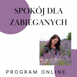 SPOKÓJ DLA ZABIEGANYCH -...
